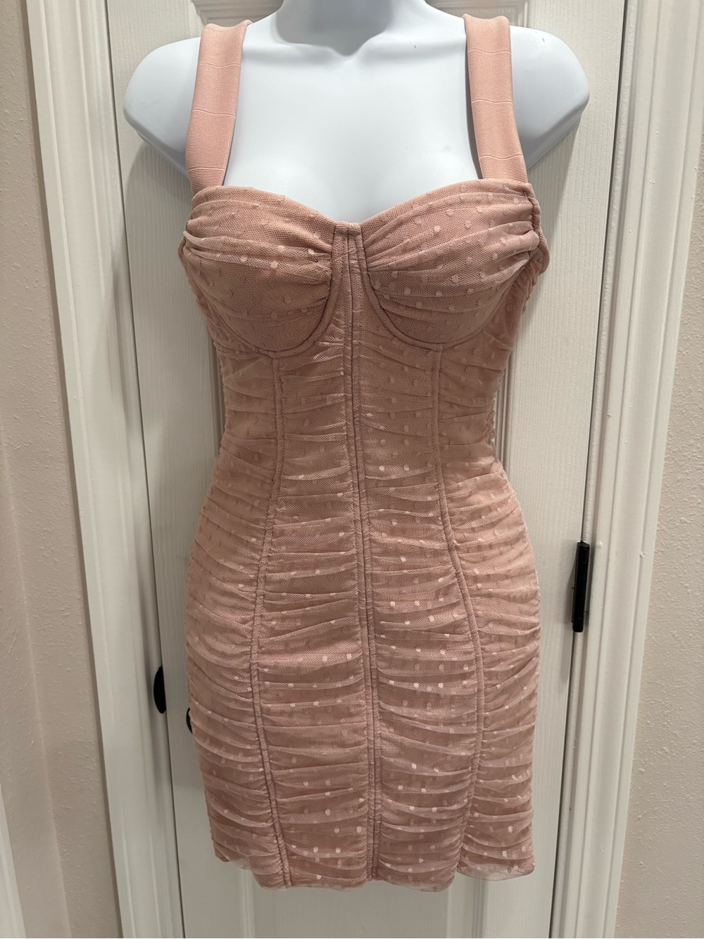 Haute Monde Dusty Blush Ruched Swiss Dot Mesh Mini Dress
